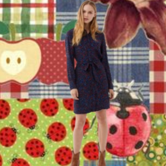 Boho Collar Twee Dress - Picture 1 of 14